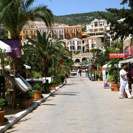 - 3 Bed With Large Private Pool בית נופש